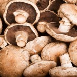 Portobello Mushroom (Button Mushroom) Luscious Meaty Slightly Sticky Incredibly Tasty