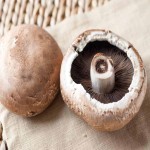 Portobello Mushroom; Taste Delicious Beefy Luscious Contain Vitamins Minerals Proteins
