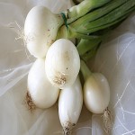 White Onion Per Kg (Sweet) Contains Flavonoid Reduces Harmful Cholesterol