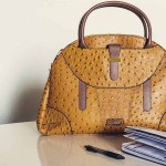 Ostrich Leather Bag; Beautiful Costly Luxury Option Thinner Softer Heat Resistant
