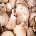 Oyster Mushroom Per Kg (Pleurotus Spp) Antioxidant Minerals Content Anemia Treatment