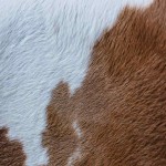 Goat Leather in Pakistan; Flexibility Softness Light Weight Fine Grains Low Density