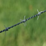 Double Barbed Wire; Heat Treated Zinc Coated Wire 2 Designs Circular Linear