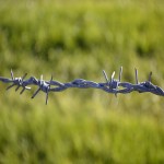 Double Strand Barbed Wire; Increase Security Galvanize Material