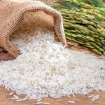 Sella Rice in Uae; Alluvial Soils Dry Lands Tropical Woodlands Harvesting