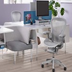 Office Chair in Sri Lanka; Adjustable Ergonomic Soft Seat 2 Materials Plastic Metal