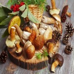 Pine Mushroom Per Pound 2023; Similar Species Tricholoma Magnivelare Murrillianum Lacking Cholesterol