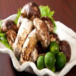 Matsutake Mushroom in Philippines ; Iron Source Lower blood cholesterol levels