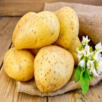 Gujarat Potato Today (Batata) Different Sizes Contains Vitamin Fiber Minerals
