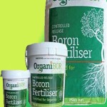 Boron Fertilizer 50 Kg; Borax Boric Acid Boronated Limestone Ulexite Varieties 1-3 LB/Acre Rate