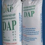 Dap Fertilizer Pakistan; Liquid Granular Edible Form purity 99% White Small Grains