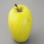 Golden Apple Fruit in Pakistan; Sweet Flavorful Fiber Antioxidants Source