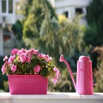 Plastic Flower Pot in Nepal; Flexible Robust Durable Material Lightweight