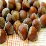 Hazelnuts Per Kg (Filbert) Prevent Cardiovascular Disease 5 Types Raw Chopped Ground Blanched