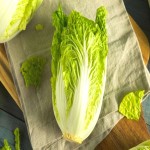 Organic Napa Cabbage; Mild Sweet Flavor Crispy Leaves Crunchy Texture