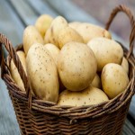 1 Kg Potato in Usa; Oval Elongated Shape Thin Smooth Skin (Light Brown, Gray)
