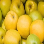 Golden Apple Fruit; Jonagold Crispin Newtown Pippin Types Sour Sweet Flavors