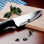 Kitchen Knife in Sri Lanka; Stainless Steel Blade 3 Handle Materials Wood Plastic Metal