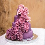 Fondant Cake per kg; Long Shelf Life 3 Forms Liquid Paste Sculpting