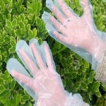 Disposable Plastic Gloves in Philippines (PPE) Tear Elastic Resistance Chemical Protection