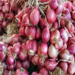 Small Onion in Kerala; Vitamin C Potassium Fiber Source Collagen Synthesis Iron Absorption