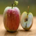 Mini Apple Fruit (Carb)Tangy Bite Tart Sweet Taste Fiber Source