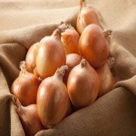Current Onion in Pakistan; Potassium Fiber Source Vitamin C B6 Smooth Hard Texture