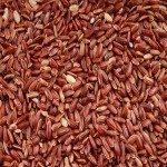 Red Rice in India; Balance Insulin Blood Sugar Contains Iron B6