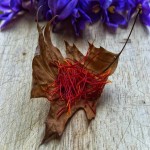 Iranian Saffron in Uae; Contain Antioxidant Crocetin Reduce Depression Symptoms