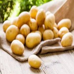Fresh Potato in Usa; Floury Fluffy Dry Texture Vitamin C Calcium Potassium Source