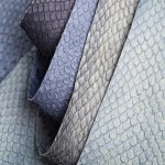 Fish Leather in India; Water Resistance 5 Types Salmon Cod Tilapia Perch Stingray