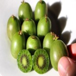 Little Kiwi Fruit; Brown Fuzzy Skin Vitamin C E Fiber Source Strengthen Immune System