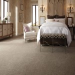 Smartstrand Silk Carpet (Floor Covering) Soft Nylon Content Stain Resistance