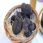 Truffle Mushroom in Dubai (Mountain Tail) Black White Gray Round Shape