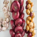 Small Onion Today; Contain Selenium 4 Types Pink Red Green Shallots
