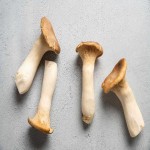 King Oyster Mushroom (Pleurotus Eryngii) Pleurotaceae 85% 90% Moisture Content