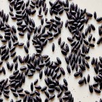 Black Rice; Aromatic Whole Grain Nutty Flavor Protein Rich Cholesterol Free