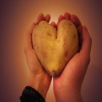 Heart Shaped Potato; Large Small Contain Starch Antioxidants Reduce Cancer
