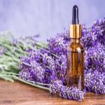 Lavender Flower Extract; Herbal Medicine Antiseptic Anti Inflammatory Nerves Soothing