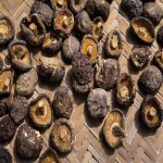 Shiitake Mushroom in Bangladesh; Thin Brown Appearance Lighten Skin Tone