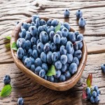 Blueberry Dried Fruit (Blue Cranberry) Vitamin C Fiber Potassium Source