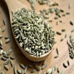 Organic Fennel Seeds (Foeniculum Vulgare) Anemia Reducer Calcium Protein Content