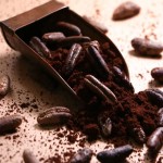 Date Seed Coffee (Benefits & Side Effects)