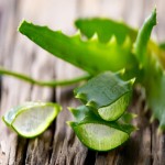 Organic Aloe Vera Leaf; Green Color Conical Shape Digestive System Helper