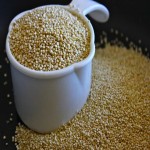 Quinoa Rice; Small Round Seed Protein Essential Amino Acid Fiber Source