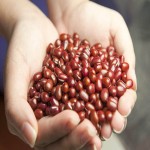 Red Small Beans; Cholesterol Regulator 3 Minerals Iron Fiber Potassium