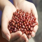 Small Dried Red Beans; Protein Iron Sources Preventing Anemia