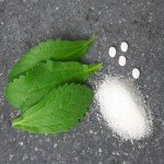 Stevia Rebaudiana Leaf Extract (Natural Sweetener) White Powder Form