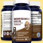Brown Seaweed Extract; Powder Capsules Tincture Forms Increasing Body Metabolism