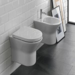 Toilet Sanitary Ware; Matte Gloss Metallic Types 2 Colors White Black